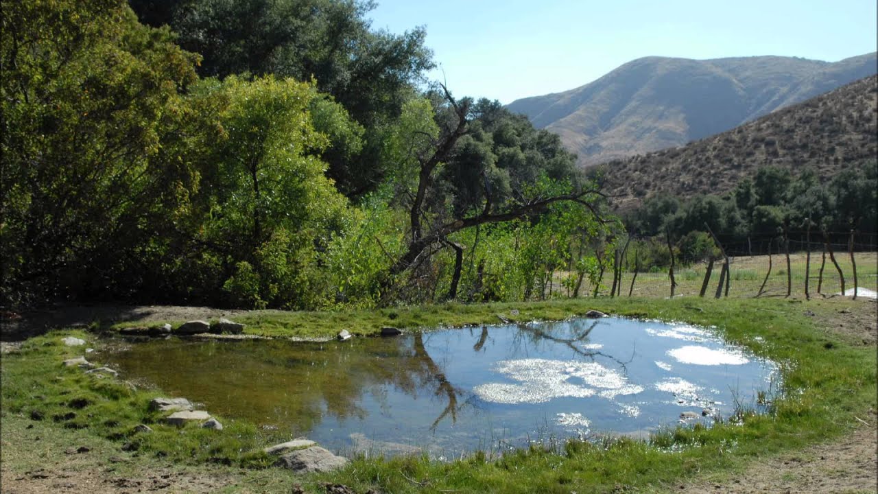 Paisaje de aguaje